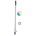 Standard LED Whip – App Control
